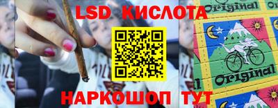 гидра Новокубанск